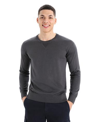 Pánské Svetry Icebreaker Cool-Lite™ Merino Nova Sweatshirt Stříbrné Šedé | CZ 1731QMAZ